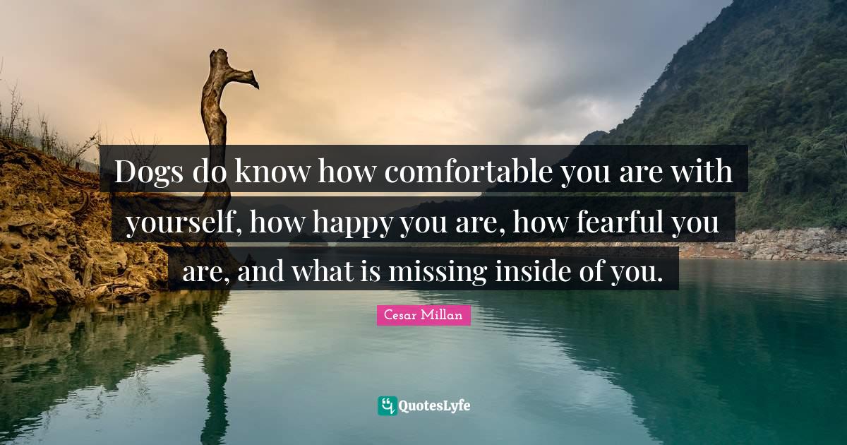 Dogs do know how comfortable you are with yourself, how happy you are