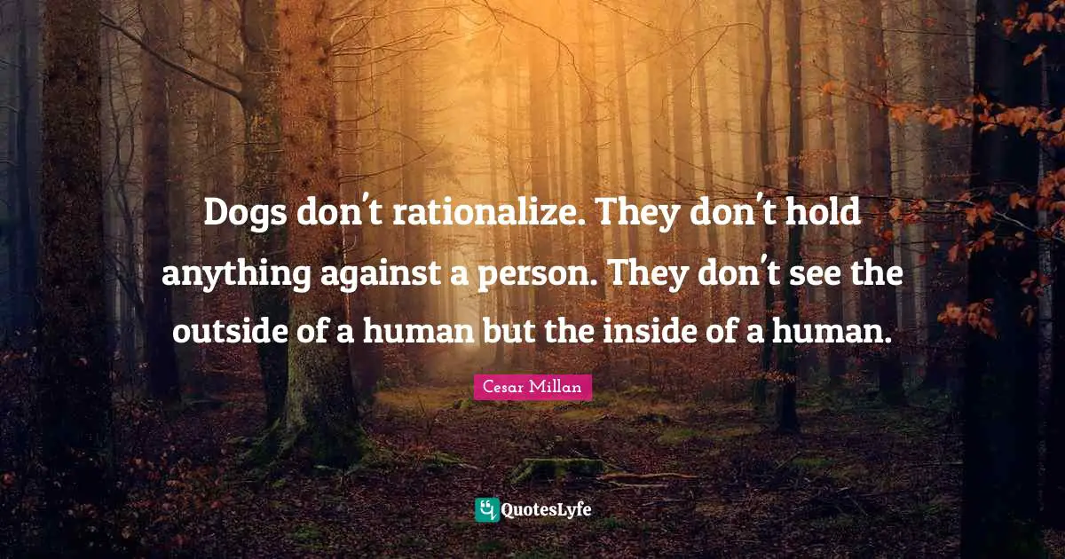 Cesar Millan Quotes: "Dogs don't rationalize. They don't hold anything against a person. They don't see the outside of a human but the inside of a human."
