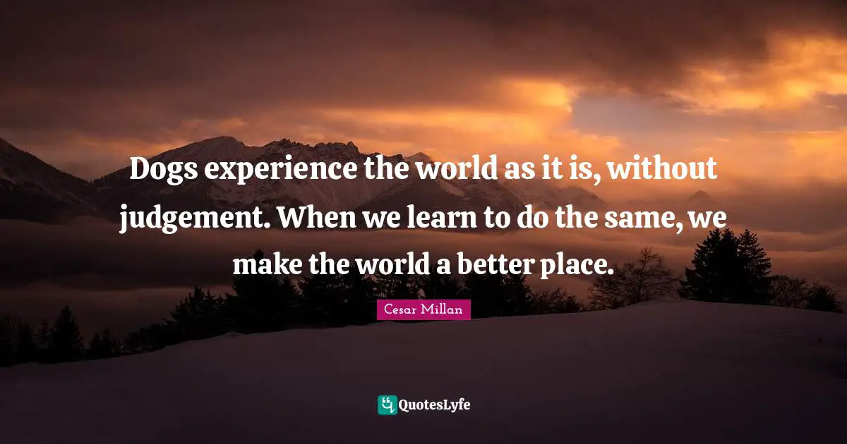 Cesar Millan Quotes: "Dogs experience the world as it is, without judgement. When we learn to do the same, we make the world a better place."