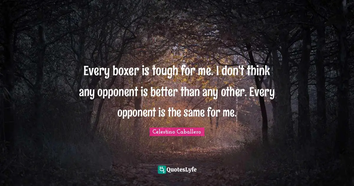 Every boxer is tough for me. I don't think any opponent is better than any other. Every opponent is the same for me.