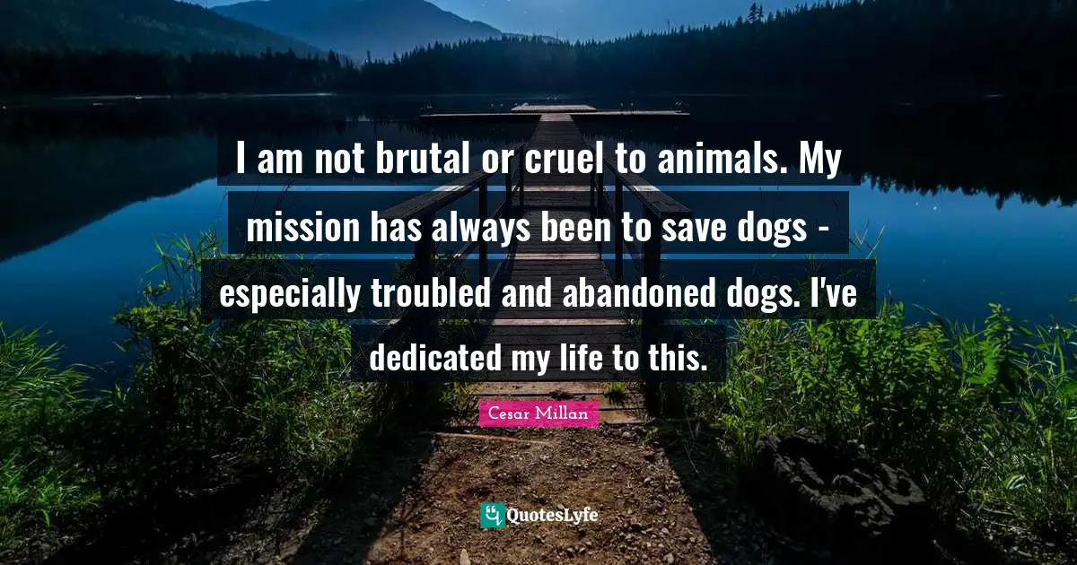 Cesar Millan Quotes: "I am not brutal or cruel to animals. My mission has always been to save dogs - especially troubled and abandoned dogs. I've dedicated my life to this."