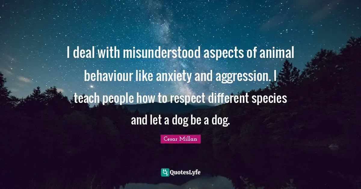 Cesar Millan Quotes: "I deal with misunderstood aspects of animal behaviour like anxiety and aggression. I teach people how to respect different species and let a dog be a dog."