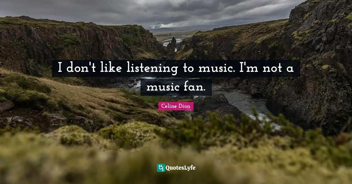 I don't like listening to music. I'm not a music fan.