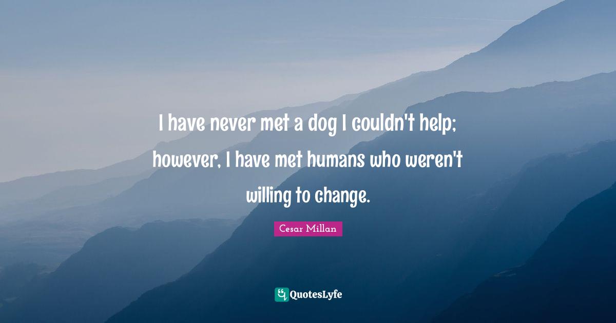Cesar Millan Quotes: "I have never met a dog I couldn't help; however, I have met humans who weren't willing to change."