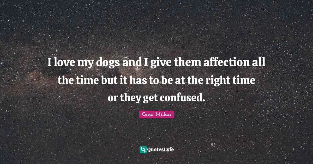 Cesar Millan Quotes: "I love my dogs and I give them affection all the time but it has to be at the right time or they get confused."