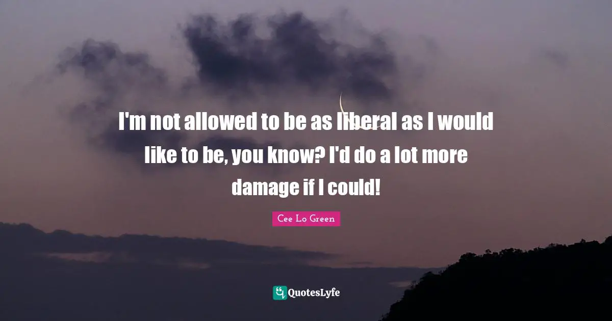 I'm not allowed to be as liberal as I would like to be, you know? I'd do a lot more damage if I could!