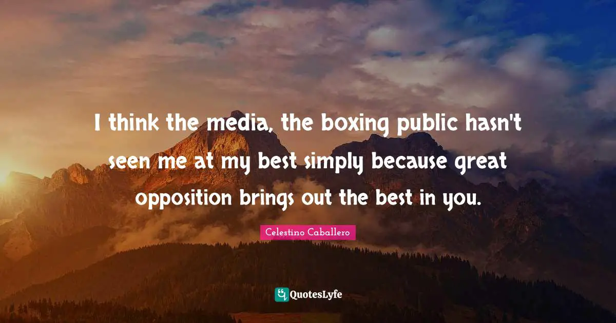 I think the media, the boxing public hasn't seen me at my best simply because great opposition brings out the best in you.