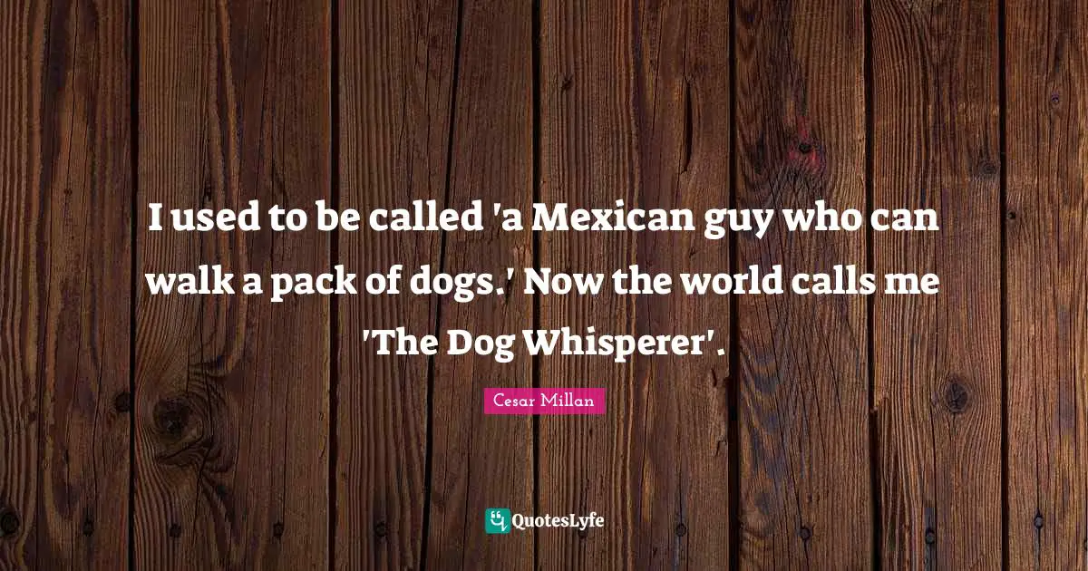 I used to be called 'a Mexican guy who can walk a pack of dogs.' Now the world calls me 'The Dog Whisperer'.