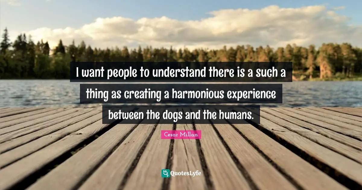 Cesar Millan Quotes: "I want people to understand there is a such a thing as creating a harmonious experience between the dogs and the humans."