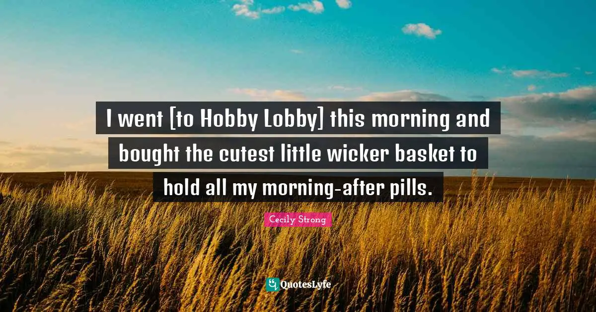 I went [to Hobby Lobby] this morning and bought the cutest little wicker basket to hold all my morning-after pills.