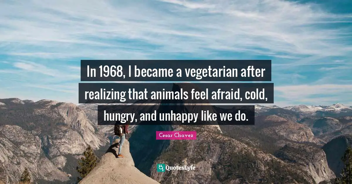 Cesar Chavez Quotes: In 1968, I became a vegetarian after realizing that animals feel afraid, cold, hungry, and unhappy like we do.