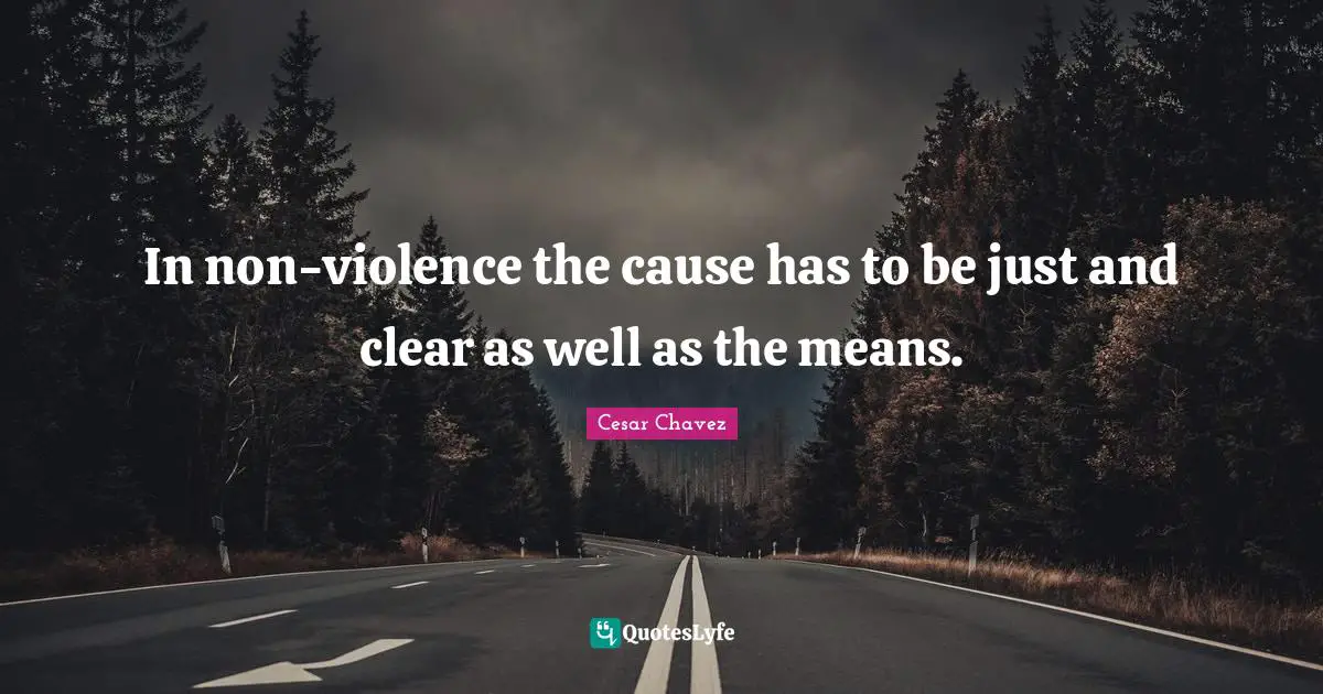 In non-violence the cause has to be just and clear as well as the means.