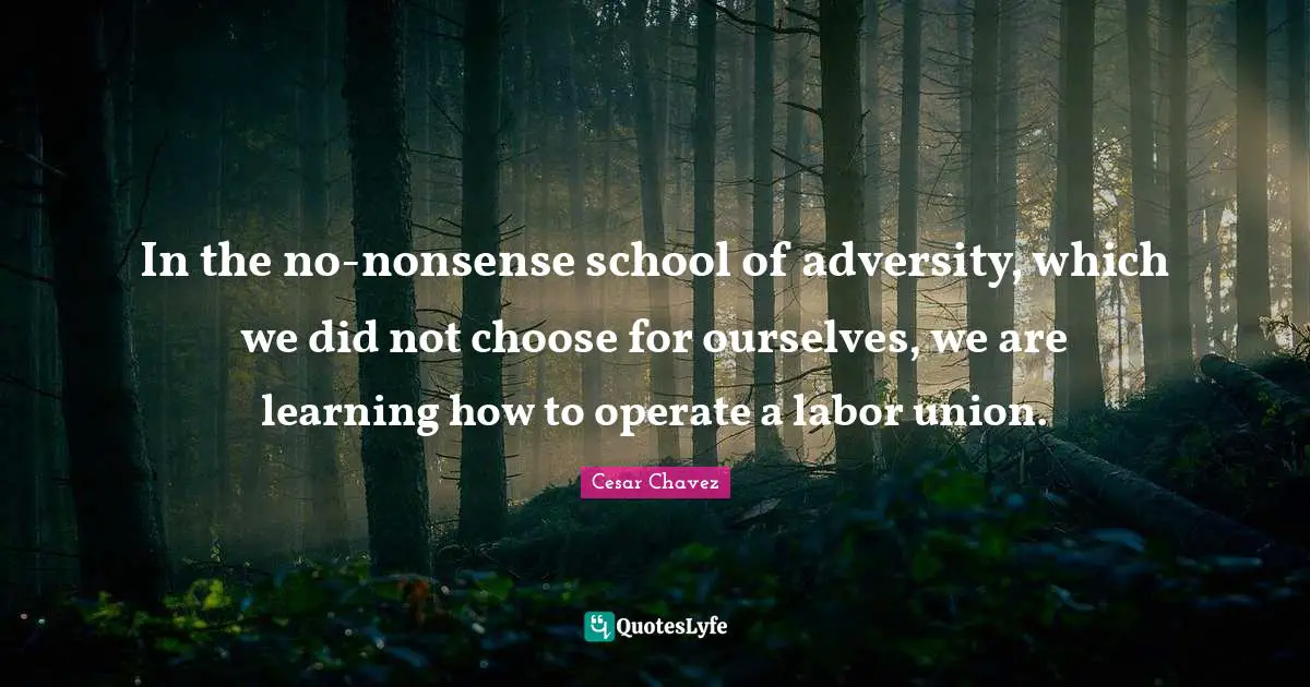 Labor Union Quotes: "In the no-nonsense school of adversity, which we did not choose for ourselves, we are learning how to operate a labor union."