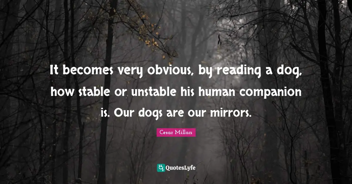Cesar Millan Quotes: "It becomes very obvious, by reading a dog, how stable or unstable his human companion is. Our dogs are our mirrors."