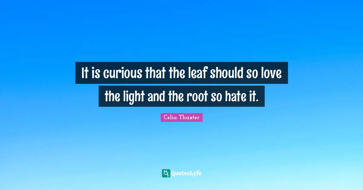 It is curious that the leaf should so love the light and the root so hate it.