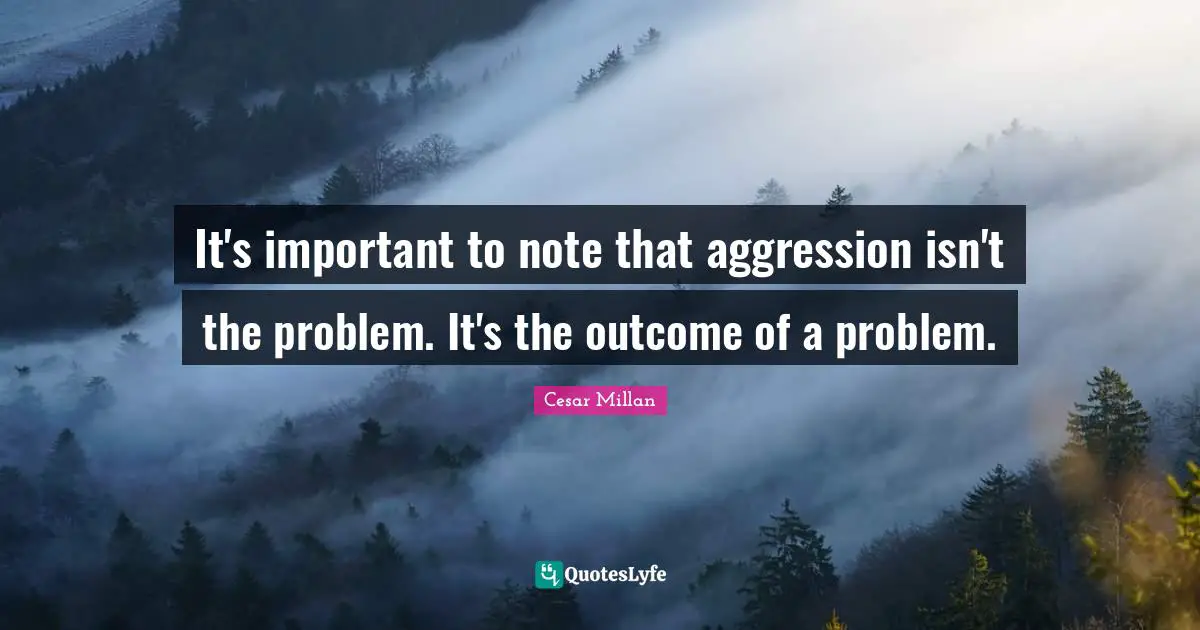 It's important to note that aggression isn't the problem. It's the outcome of a problem.