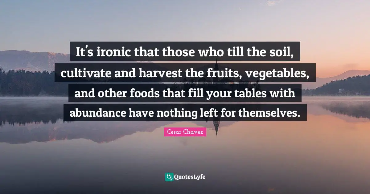 Diversity Quotes: "It's ironic that those who till the soil, cultivate and harvest the fruits, vegetables, and other foods that fill your tables with abundance have nothing left for themselves."