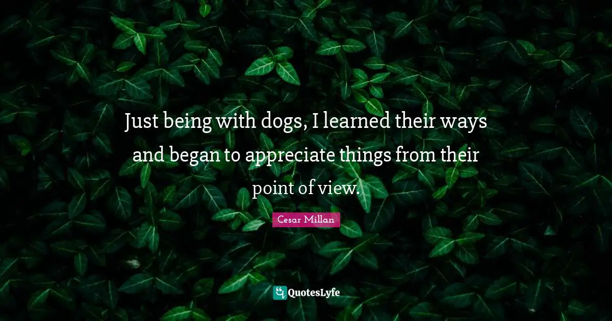 Just being with dogs, I learned their ways and began to appreciate things from their point of view.
