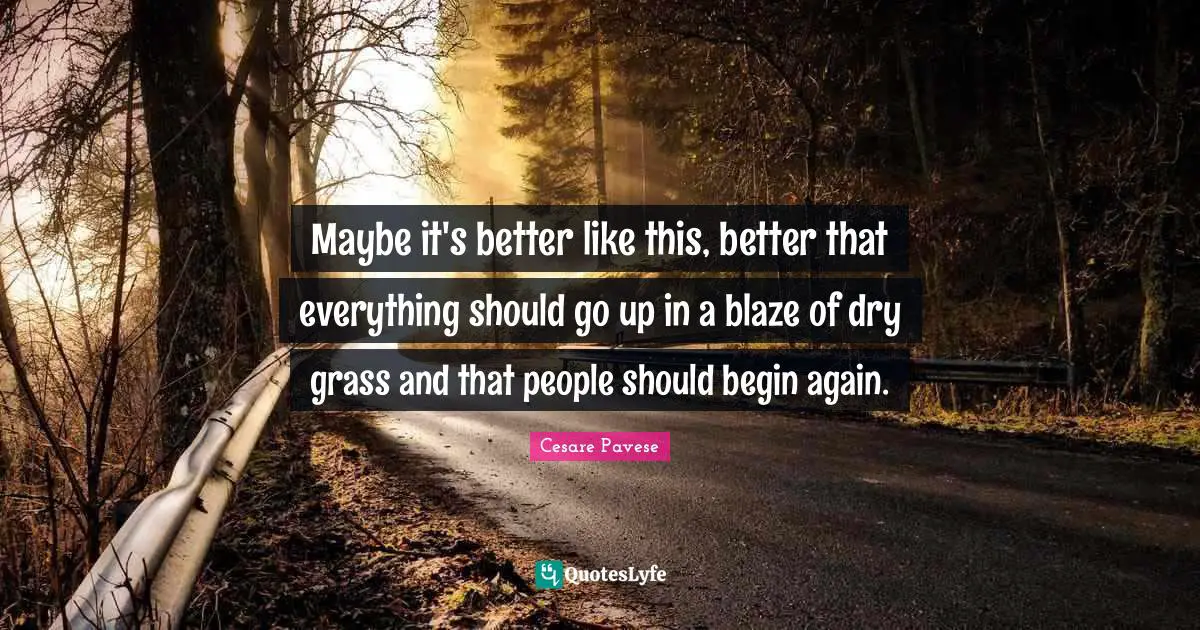 Maybe it's better like this, better that everything should go up in a blaze of dry grass and that people should begin again.