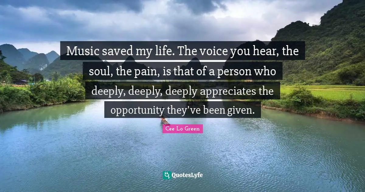 Cee Lo Green Quotes: "Music saved my life. The voice you hear, the soul, the pain, is that of a person who deeply, deeply, deeply appreciates the opportunity they've been given."