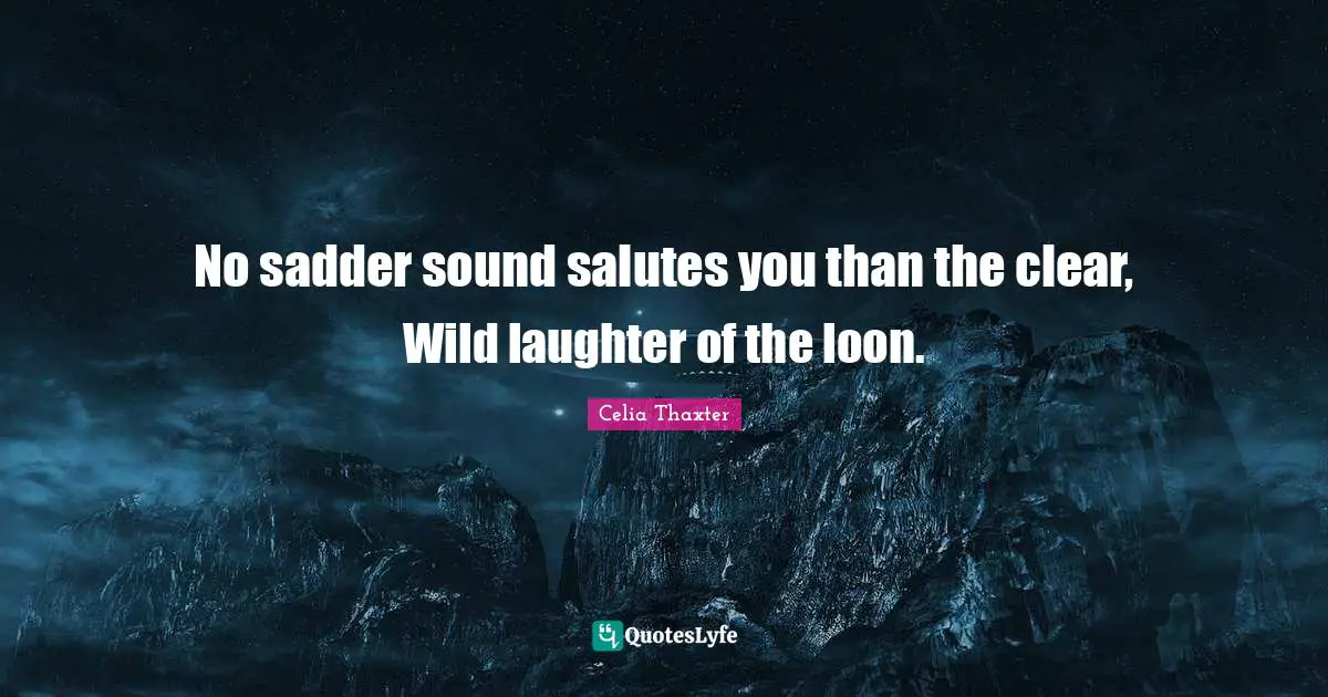No sadder sound salutes you than the clear, Wild laughter of the loon.