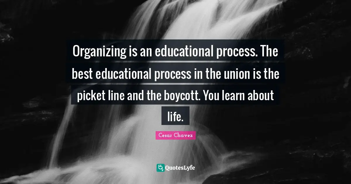 Organizing is an educational process. The best educational process in the union is the picket line and the boycott. You learn about life.