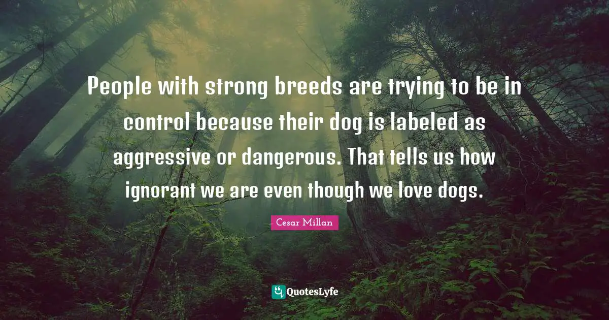 People with strong breeds are trying to be in control because their dog is labeled as aggressive or dangerous. That tells us how ignorant we are even though we love dogs.
