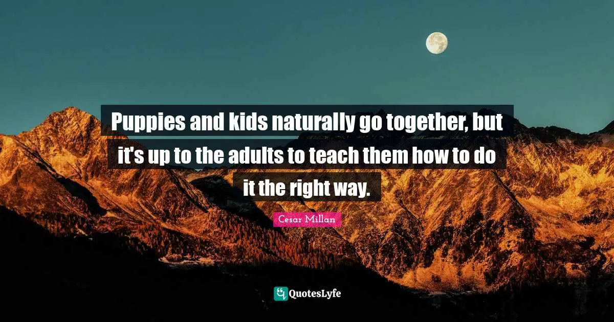 Puppies and kids naturally go together, but it's up to the adults to teach them how to do it the right way.