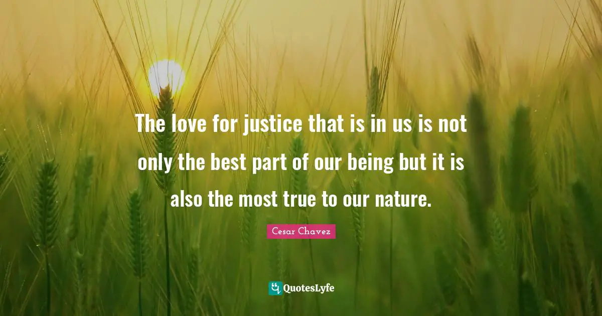 The love for justice that is in us is not only the best part of our being but it is also the most true to our nature.
