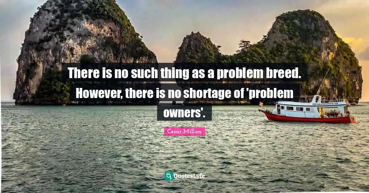 Owners Quotes: "There is no such thing as a problem breed. However, there is no shortage of 'problem owners'."