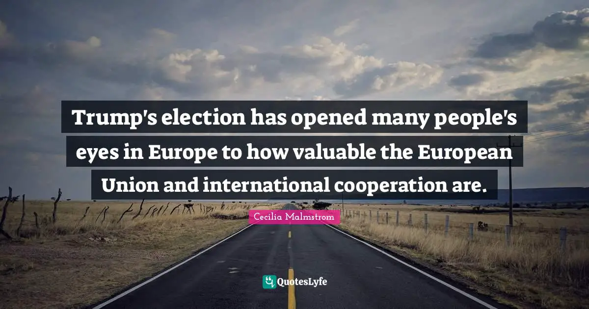Trump's election has opened many people's eyes in Europe to how valuable the European Union and international cooperation are.