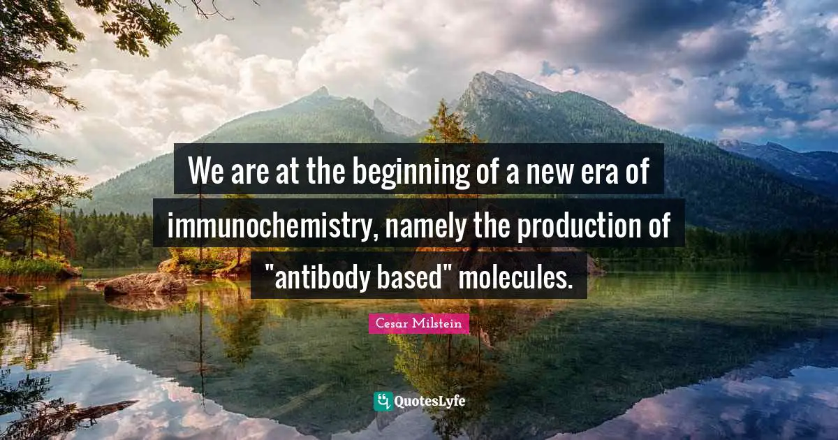 We are at the beginning of a new era of immunochemistry, namely the production of "antibody based" molecules.