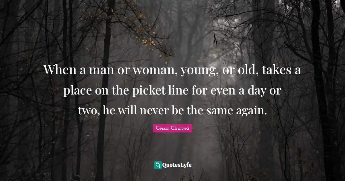 When a man or woman, young, or old, takes a place on the picket line for even a day or two, he will never be the same again.
