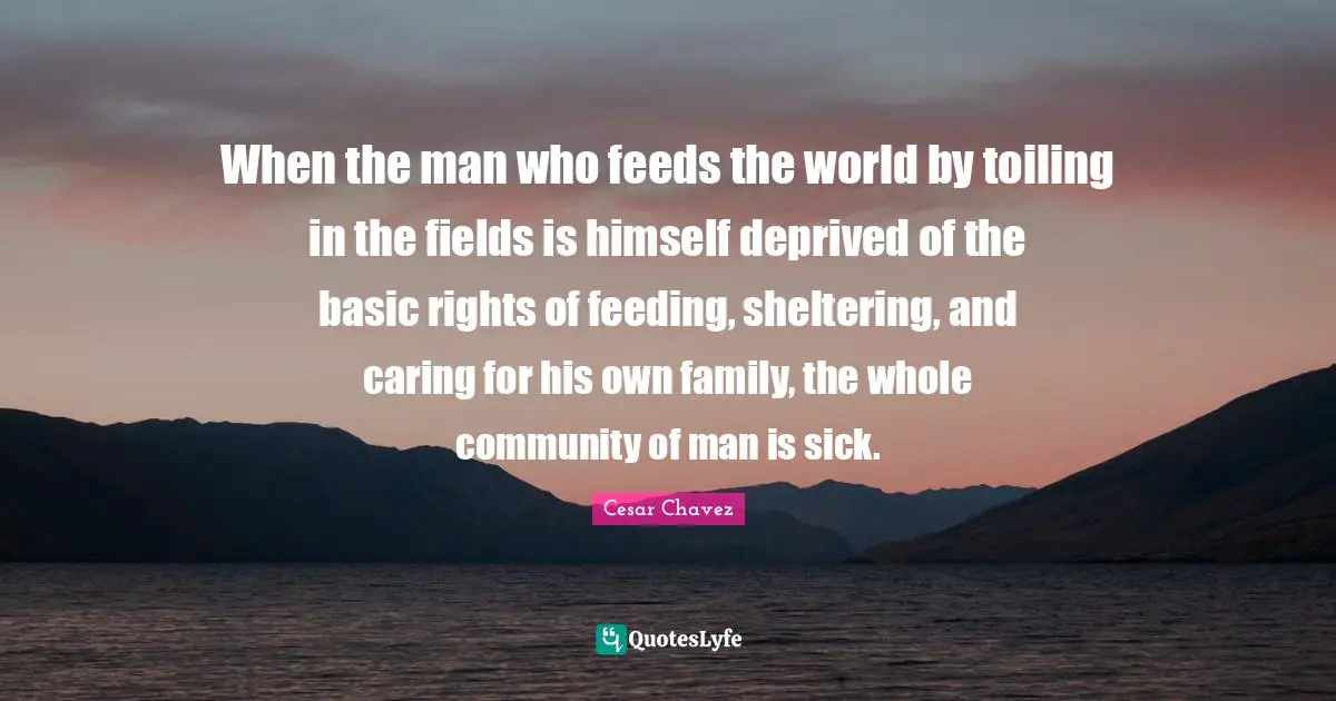 Cesar Chavez Quotes: When the man who feeds the world by toiling in the fields is himself deprived of the basic rights of feeding, sheltering, and caring for his own family, the whole community of man is sick.