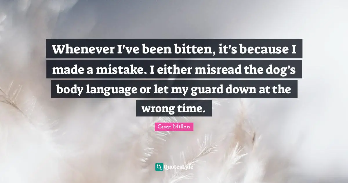 Whenever I've been bitten, it's because I made a mistake. I either misread the dog's body language or let my guard down at the wrong time.