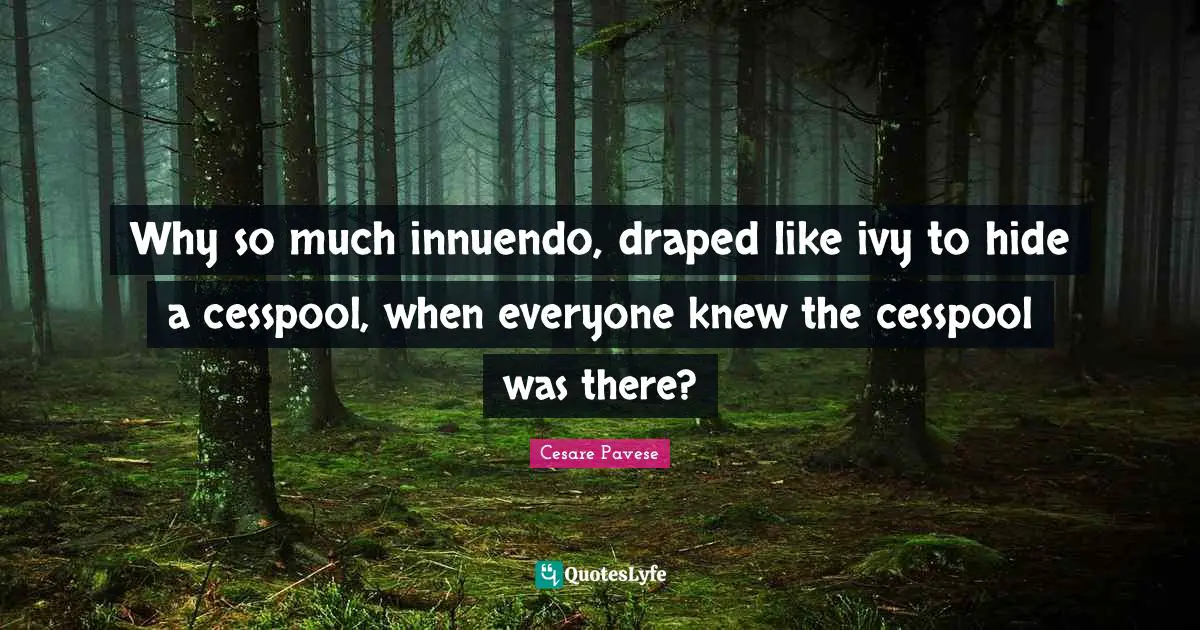 Why so much innuendo, draped like ivy to hide a cesspool, when everyone knew the cesspool was there?