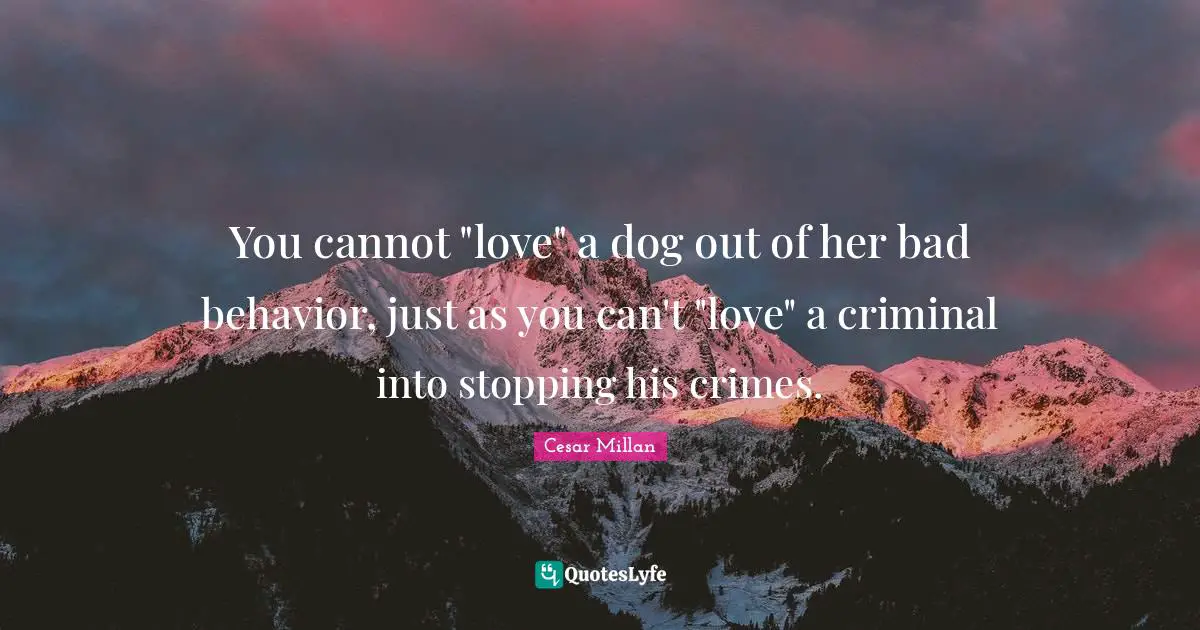 Cesar Millan Quotes: "You cannot "love" a dog out of her bad behavior, just as you can't "love" a criminal into stopping his crimes."