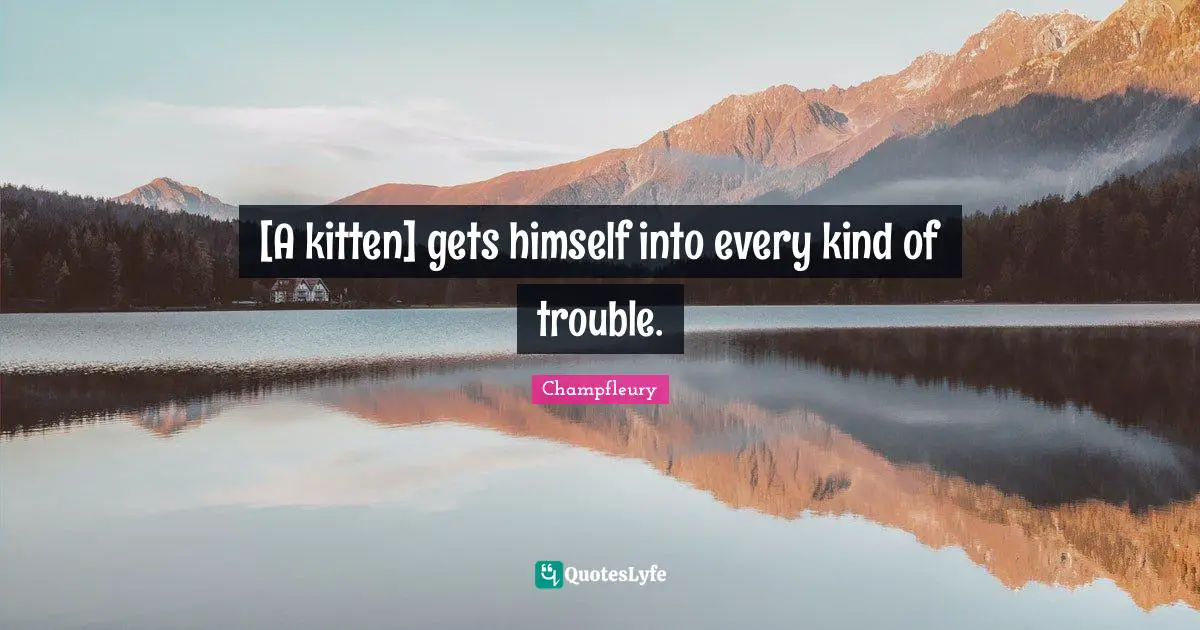 [A kitten] gets himself into every kind of trouble.