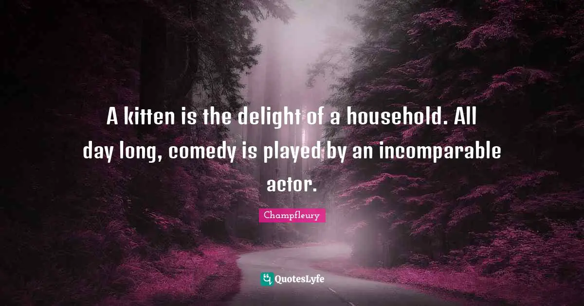 A kitten is the delight of a household. All day long, comedy is played by an incomparable actor.