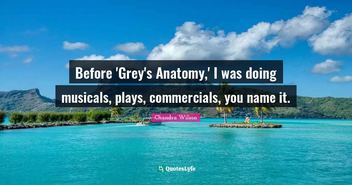 Before 'Grey's Anatomy,' I was doing musicals, plays, commercials, you name it.