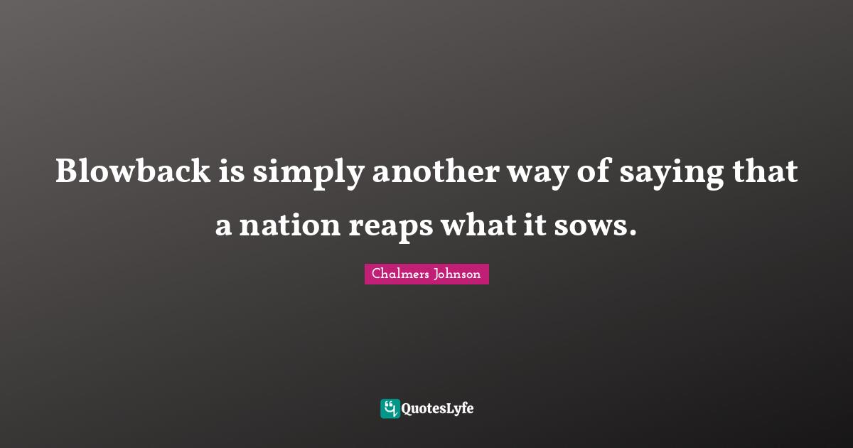 Blowback is simply another way of saying that a nation reaps what it sows.