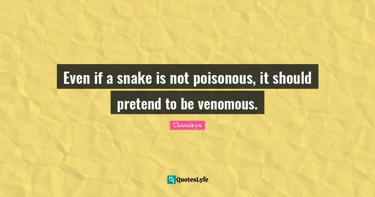 Snakes Quotes: "Even if a snake is not poisonous, it should pretend to be venomous."