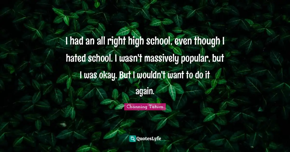 I had an all right high school, even though I hated school. I wasn't massively popular, but I was okay. But I wouldn't want to do it again.