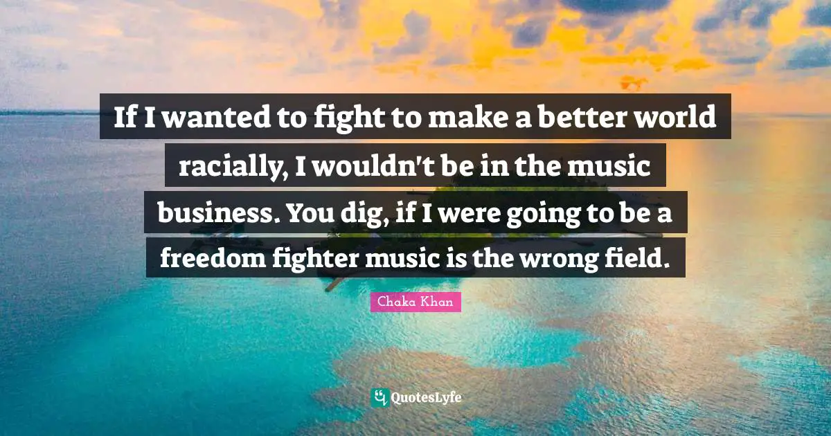 If I wanted to fight to make a better world racially, I wouldn't be in the music business. You dig, if I were going to be a freedom fighter music is the wrong field.