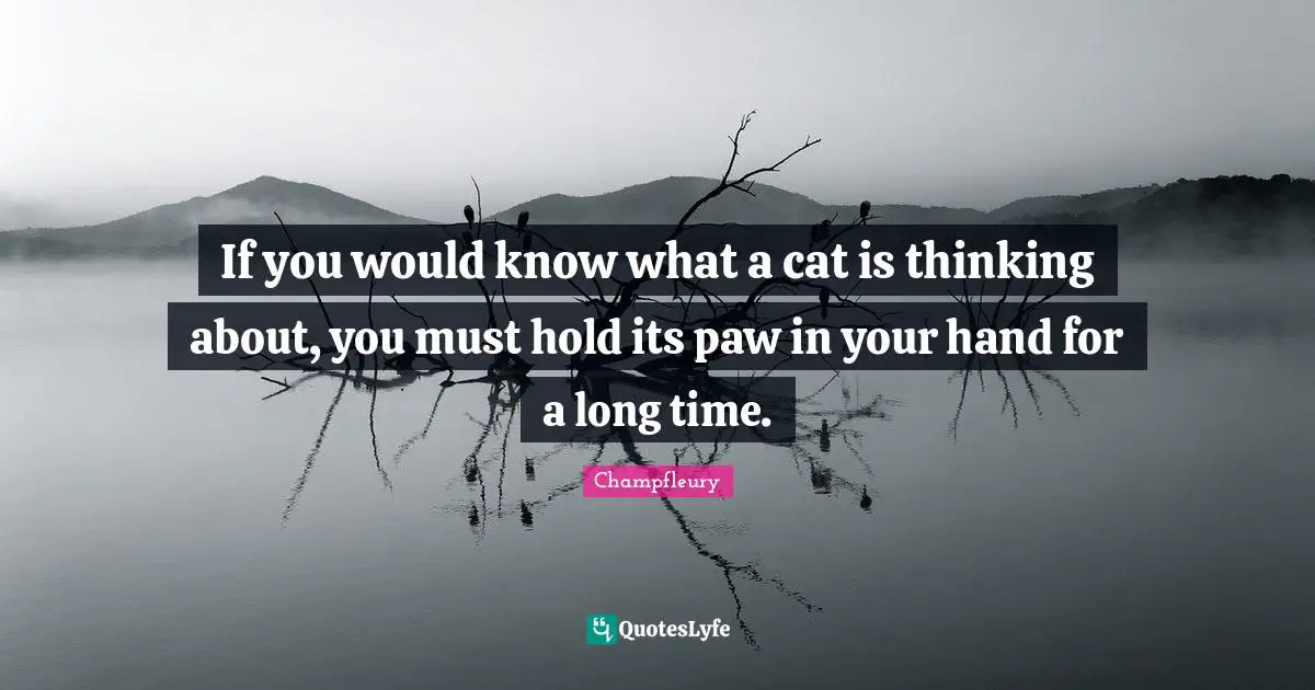 If you would know what a cat is thinking about, you must hold its paw in your hand for a long time.