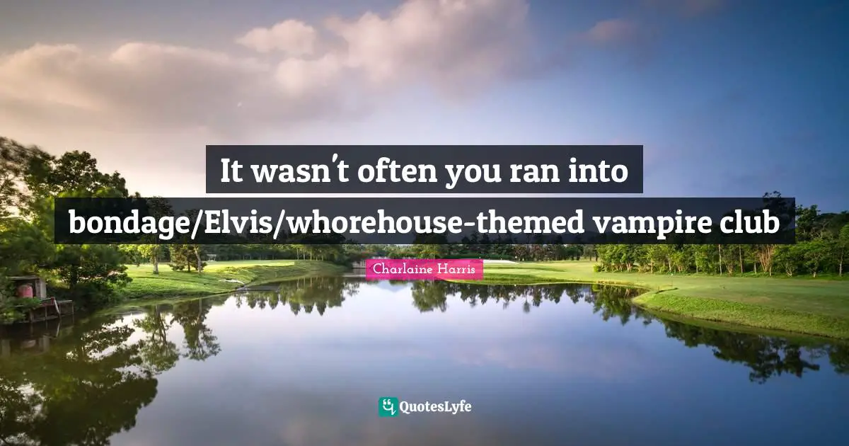 It wasn't often you ran into bondage/Elvis/whorehouse-themed vampire club