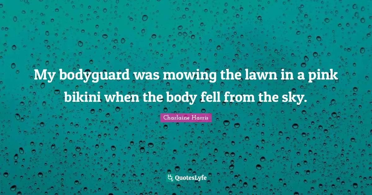 My bodyguard was mowing the lawn in a pink bikini when the body fell from the sky.