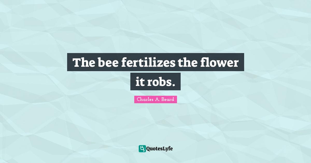 The bee fertilizes the flower it robs.
