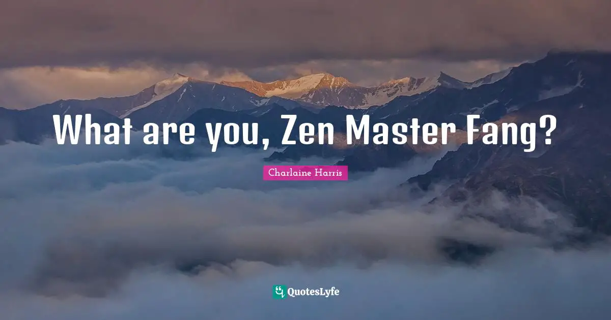 What are you, Zen Master Fang?