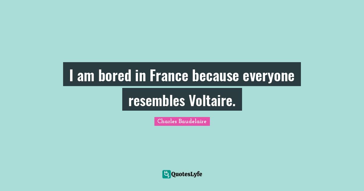 I am bored in France because everyone resembles Voltaire.